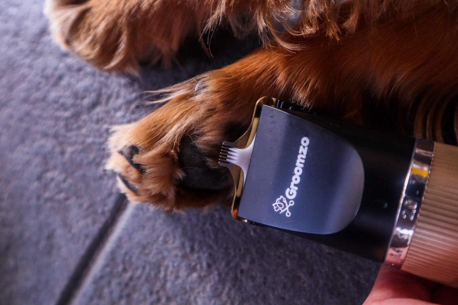 Groomzo Complete Dog Clipper Set - Whisper Silent photo review