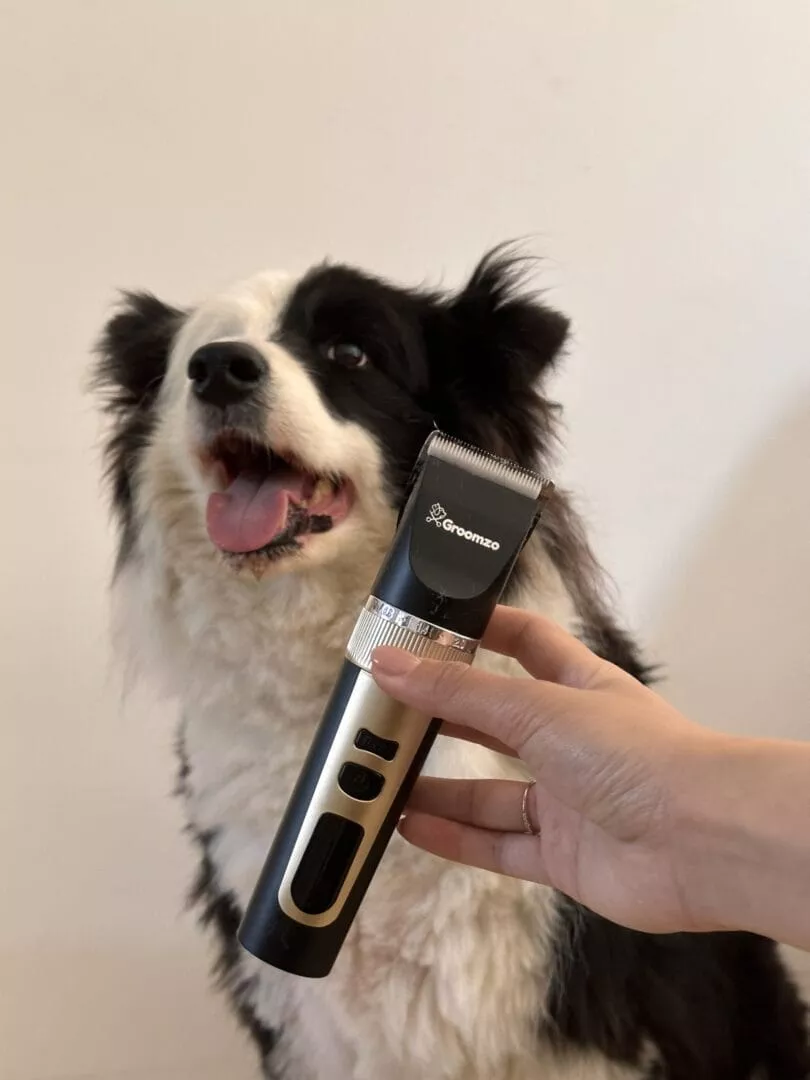 Groomzo Complete Dog Clipper Set - Whisper Silent photo review